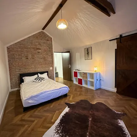Apartment Cismigiu *