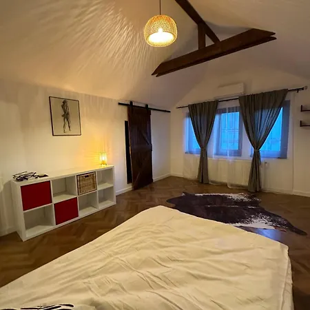 Apartment Cismigiu