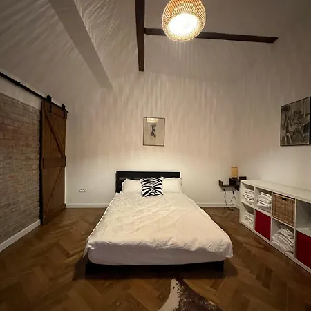 Apartment Cismigiu Bucharest